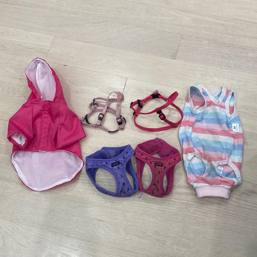 Small Dog Accessories - Harness, Rain Jacket, Onesie